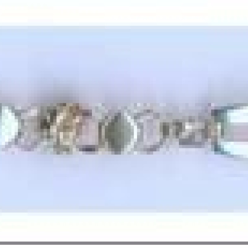 Apzeltīta rokassprādze