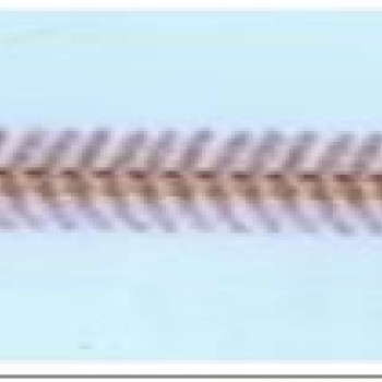 Apzeltīta rokassprādze Zivju skeleta formas virkne