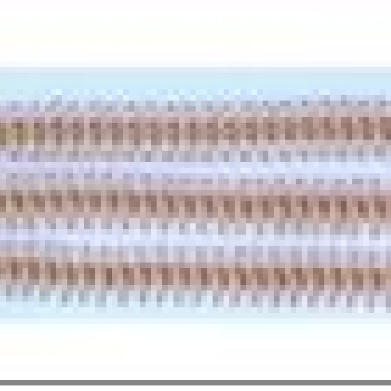 Apzeltīta rokassprādze Zivju skeleta formas ar bumbiņu galiem virkne