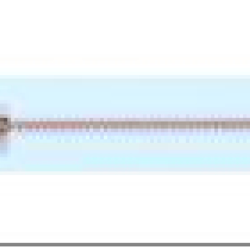 Apzeltīta rokassprādze Spiga kviešu ķēdes pinums