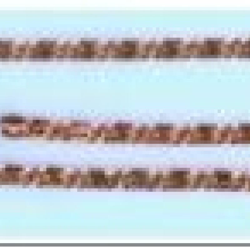 Apzeltīta rokassprādze Klasiskā noapaļotu sānu gliemežu posmu virkne