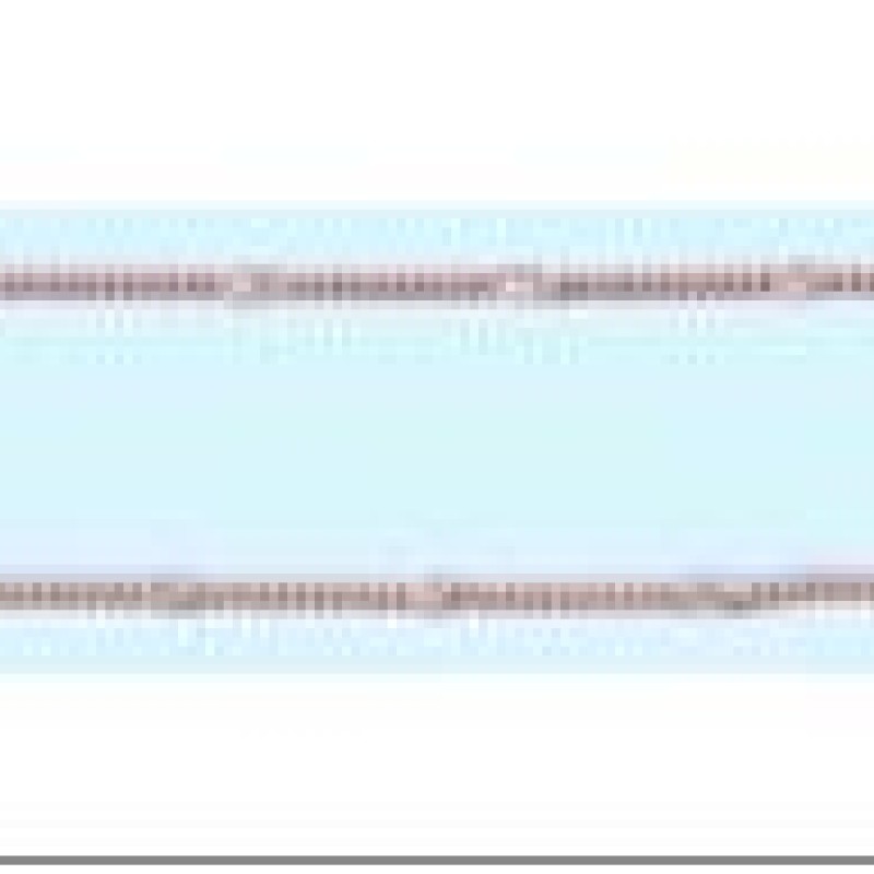 Apzeltīta rokassprādze Klasisks pinums ar saules staru Fancy posmiem