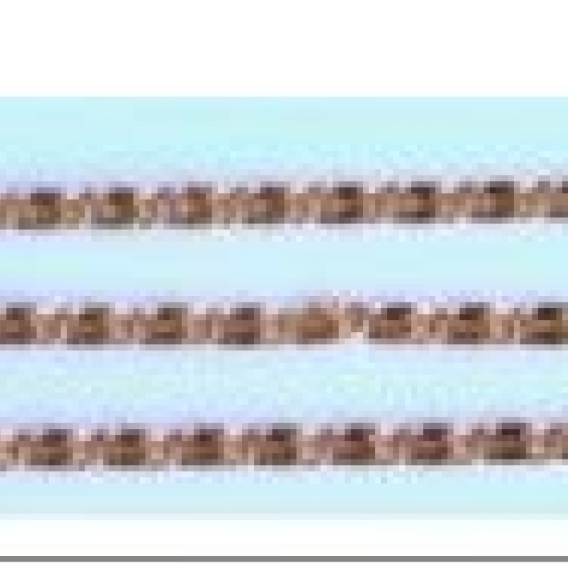 Apzeltīta rokassprādze Gliemežu atslēgas caurumiņu posmu virkne