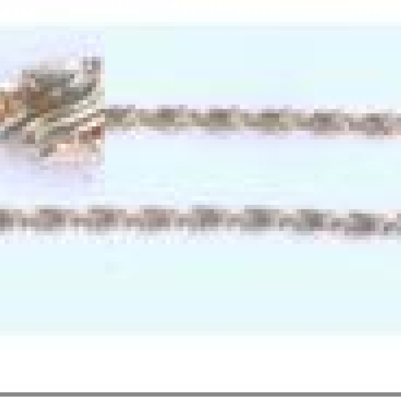 Apzeltīta rokassprādze Gliemežu stieples ar sānu kaltu posmu virkne