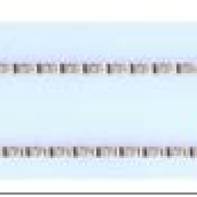 Apzeltīta rokassprādze Plānu pulētu gliemežvāku posmu virkne