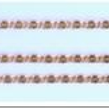 Apzeltīta rokassprādze Gliemežu atslēgas caurumiņu posmu virkne