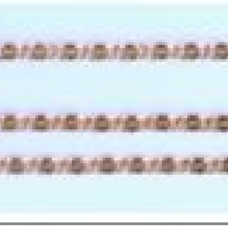 Apzeltīta rokassprādze Gliemežu atslēgas caurumiņu posmu virkne