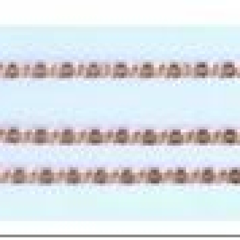 Apzeltīta rokassprādze Gliemežu atslēgas caurumiņu posmu virkne