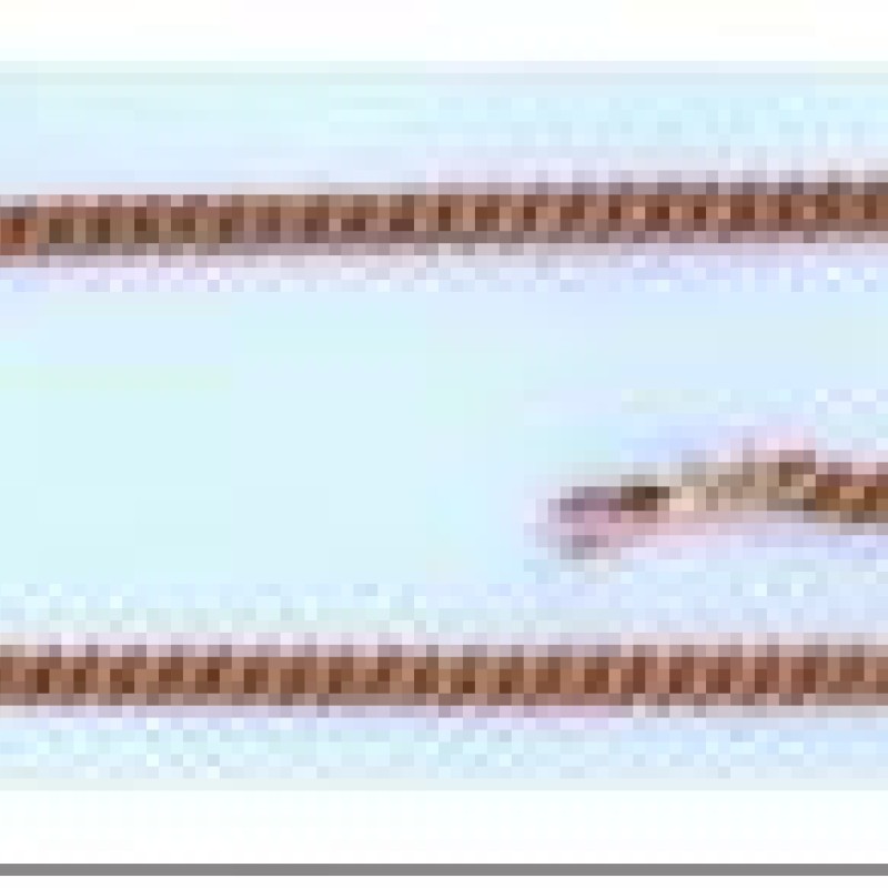 Apzeltīta rokassprādze Klasisks Maiami stila Kubas posmu pinums