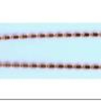 Apzeltīta rokassprādze Spožu, plakanu, sānos cieti kaltu gliemeža posmu virkne