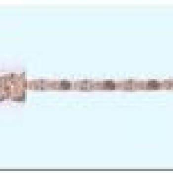 Apzeltīta rokassprādze Cietā gliemeža pulētu posmu ar daļēji izkaltiem punktiem virkne