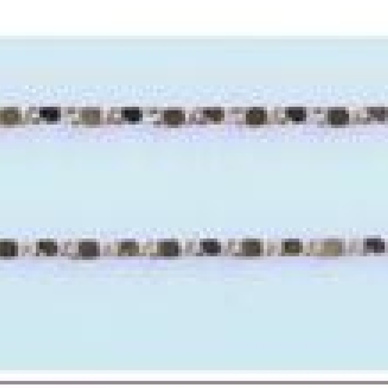 Apzeltīta rokassprādze Vienlaidu glancētu gliemežvāku posmu virkne