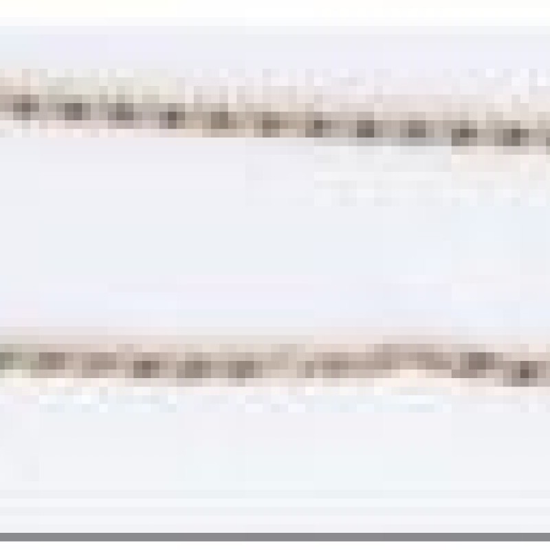 Apzeltīta rokassprādze Gliemežu posmu ar kvadrātveida sāniem virkne