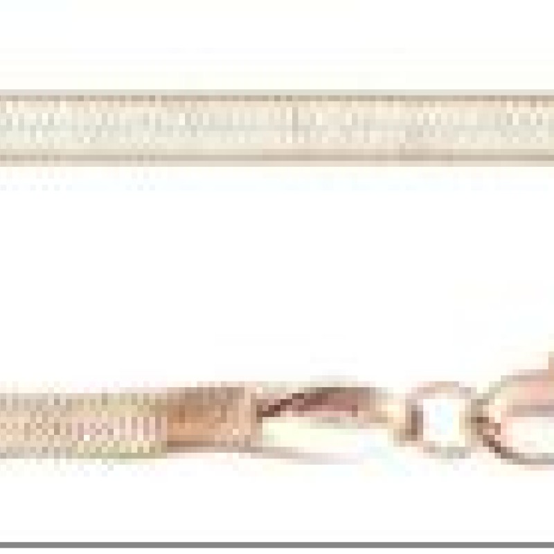 Apzeltīta rokassprādze Plakanu čūskas kaulu Eglīšu veida posmu virkne