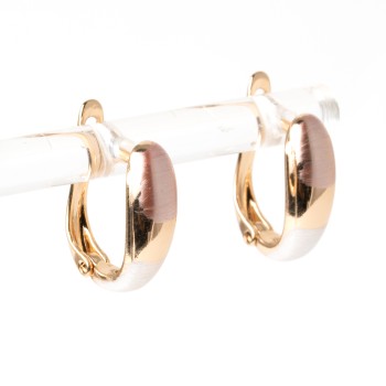 Apzeltīti auskari XUPING