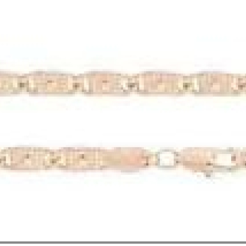 Apzeltītā ķēdīte Cietā gliemeža posmu ar izkaltiem punktiem un riņķi virkne