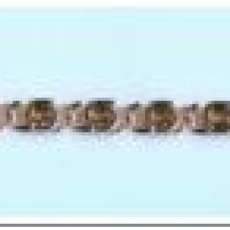 Apzeltīta rokassprādze Gliemežu atslēgas caurumiņu dobas formas posmu virkne