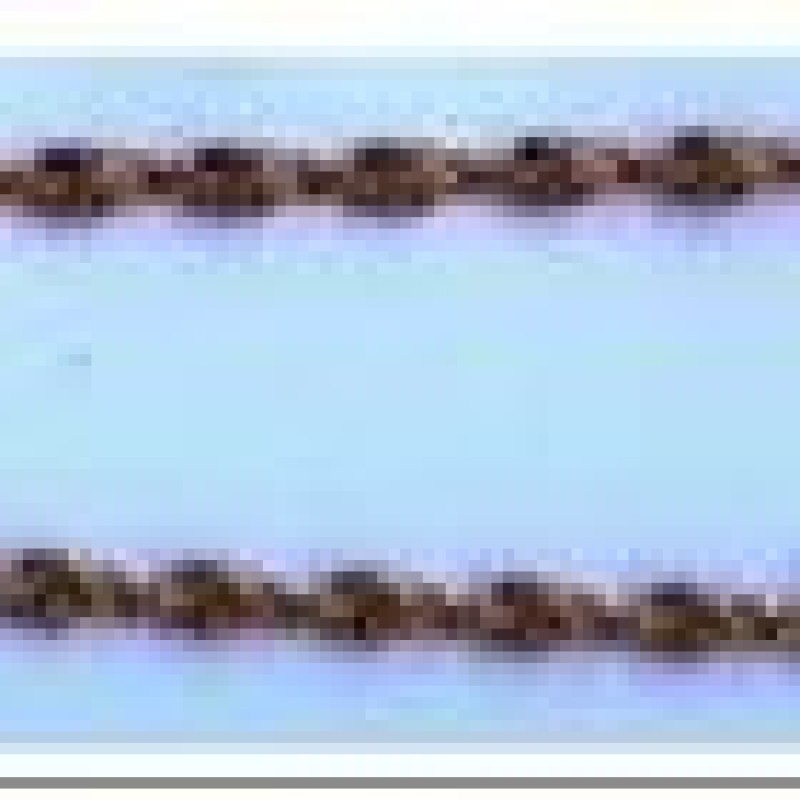 Apzeltīta rokassprādze