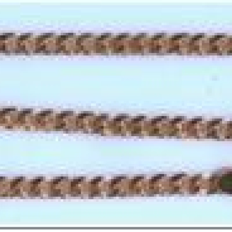 Apzeltīta rokassprādze Apļveida apmales(Round Curb) posmu virkne