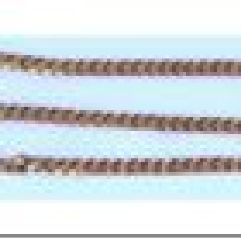 Apzeltīta rokassprādze Apļveida apmales(Round Curb) posmu virkne