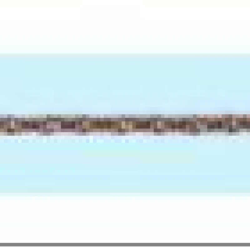 Apzeltīta rokassprādze