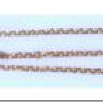 Apzeltīta rokassprādze Itāļu enkuru (Italian anchor) posmu virkne