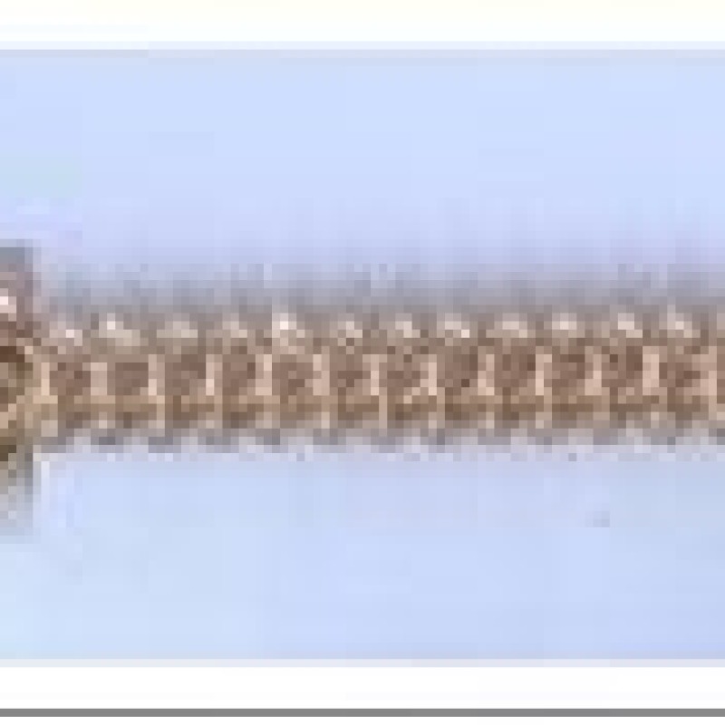 Apzeltīta rokassprādze