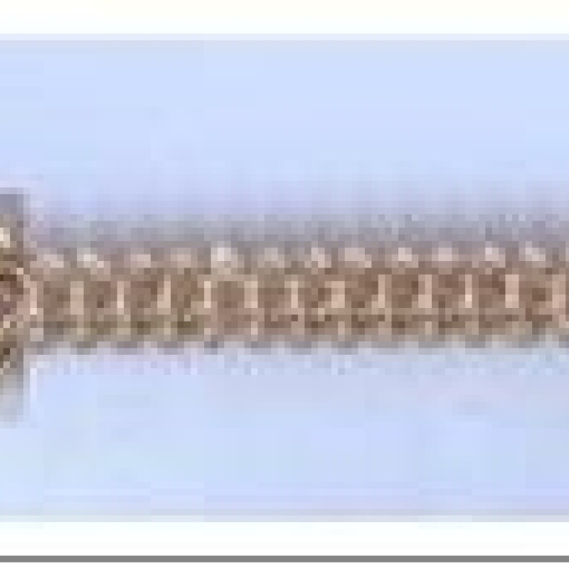 Apzeltīta rokassprādze