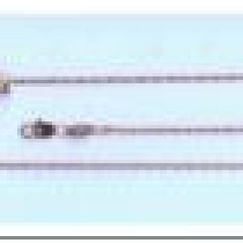 Apzeltīta rokassprādze