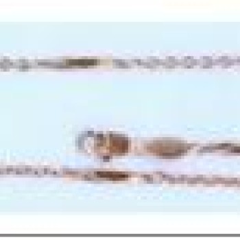 Apzeltīta rokassprādze