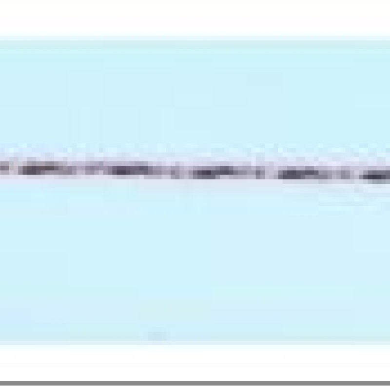 Apzeltīta rokassprādze