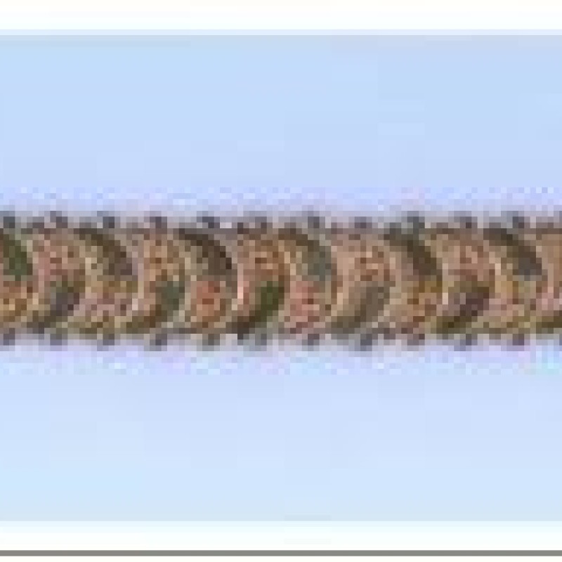 Apzeltīta rokassprādze