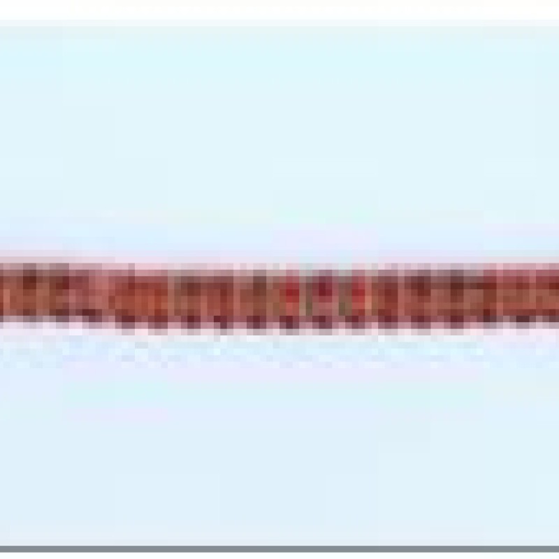 Apzeltīta rokassprādze