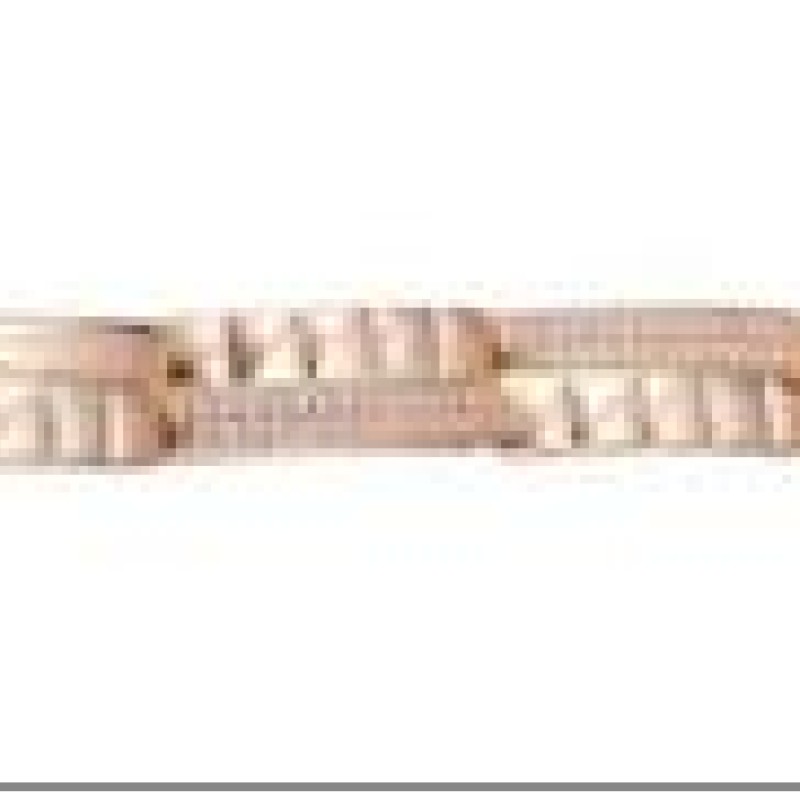 Apzeltīta rokassprādze