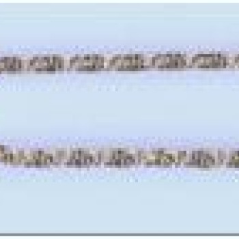 Apzeltītā ķēdīte