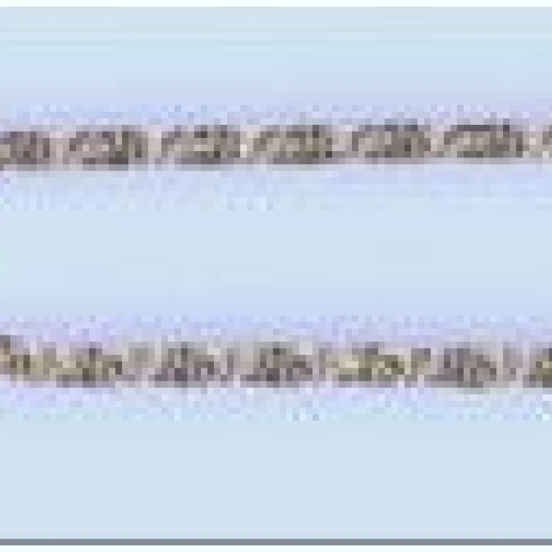 Apzeltītā ķēdīte