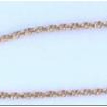 Apzeltītā ķēdīte