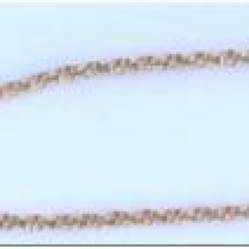 Apzeltītā ķēdīte