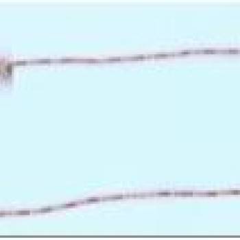 Apzeltītā ķēdīte Bumbiņu un cilindrisku posmu virkne