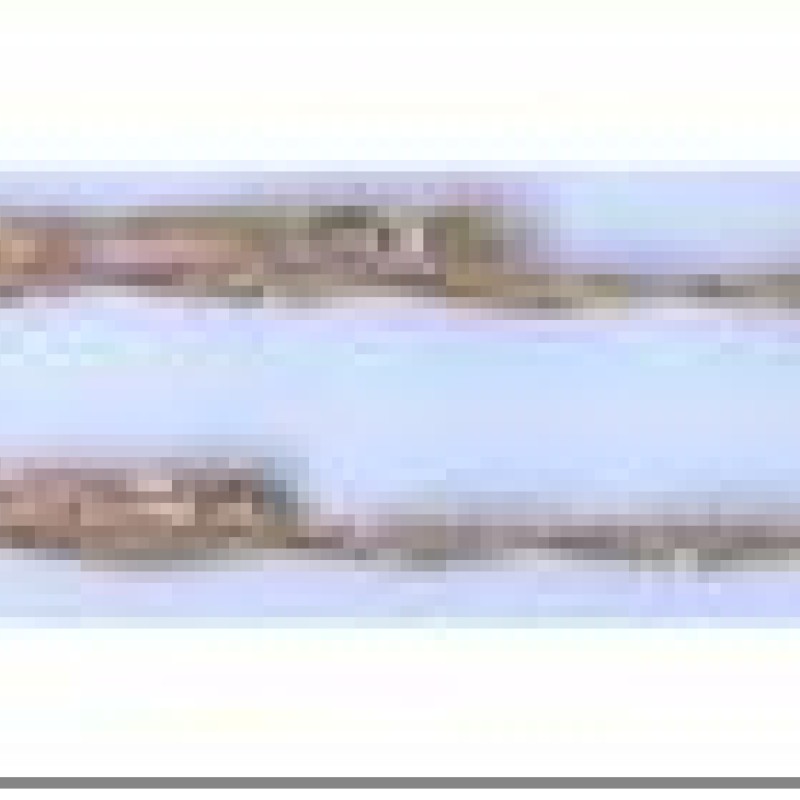 Apzeltītā ķēdīte Singapūras klasisks vienkāršo posmu pinums