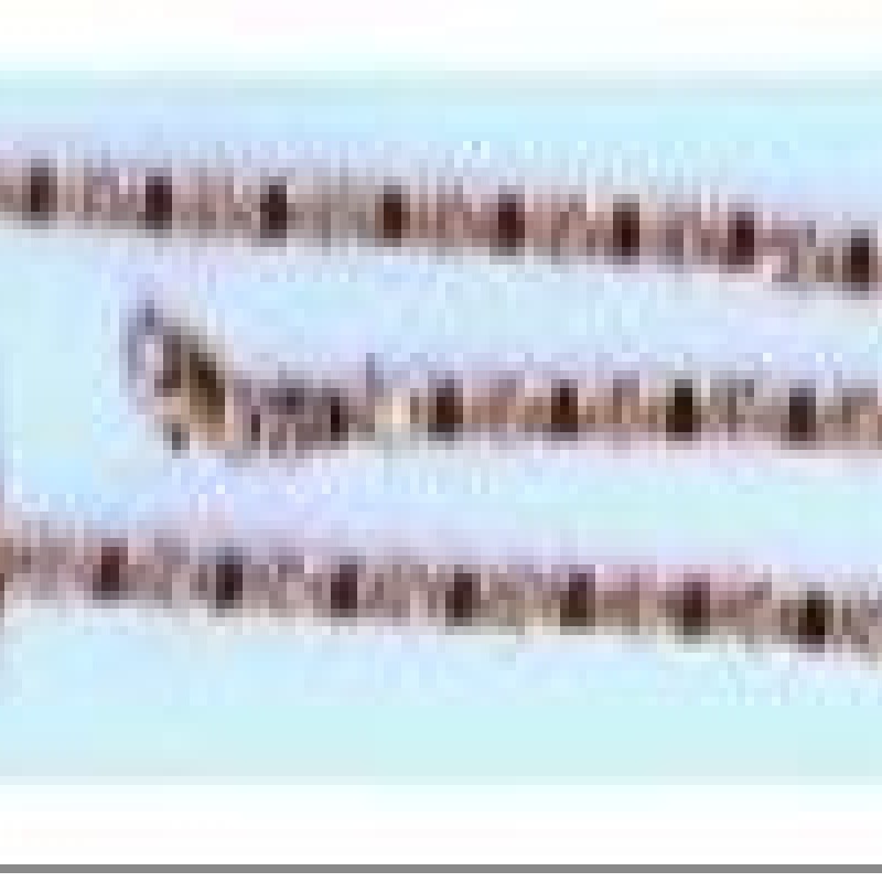 Apzeltītā ķēdīte