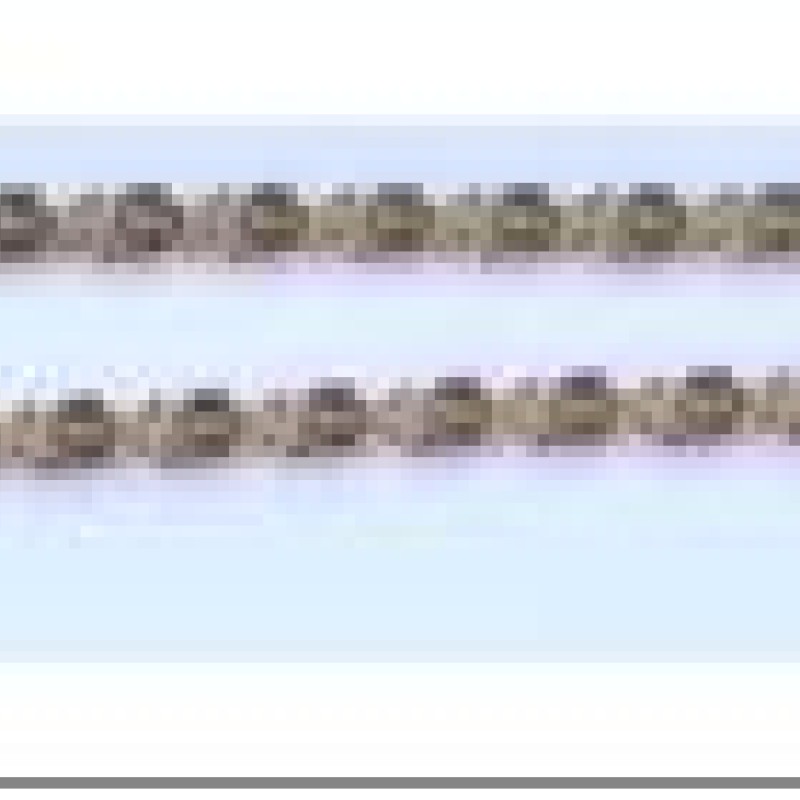 Apzeltītā ķēdīte Gliemežu atslēgas caurumiņu dobas formas posmu virkne