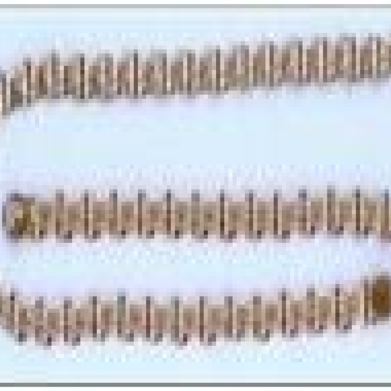 Apzeltītā ķēdīte