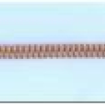 Apzeltītā ķēdīte