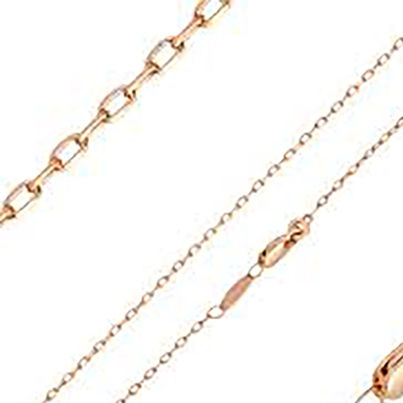 Apzeltītā ķēdīte Iegarenu apaļu posmu virkne