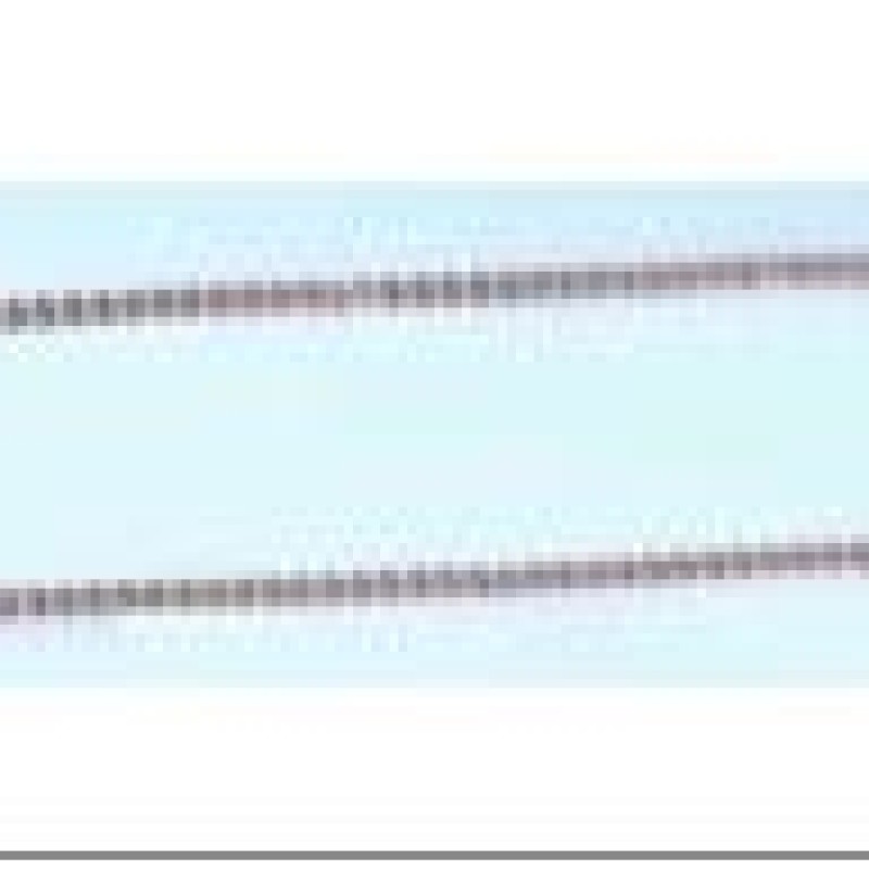 Apzeltītā ķēdīte Dobu disku Rolo posmu (Enkura) virkne