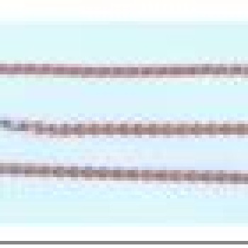 Apzeltītā ķēdīte Infinity savīta 8-ka posmu pinums