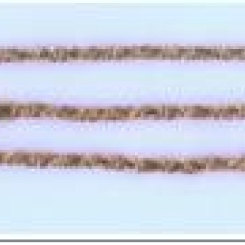 Apzeltītā ķēdīte Apaļa gliemežu posmu virkne