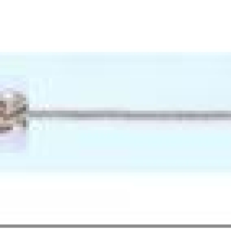 Apzeltītā ķēdīte Spiga kviešu vārpas glancēts pinums