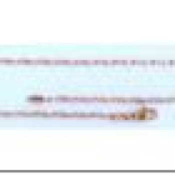 Apzeltītā ķēdīte Iegravētu saules staru un mežģīņu ovālu plakanu gredzenu posmu virkne